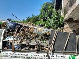 Best Foreclosure Cleanout  in Tamiami, FL